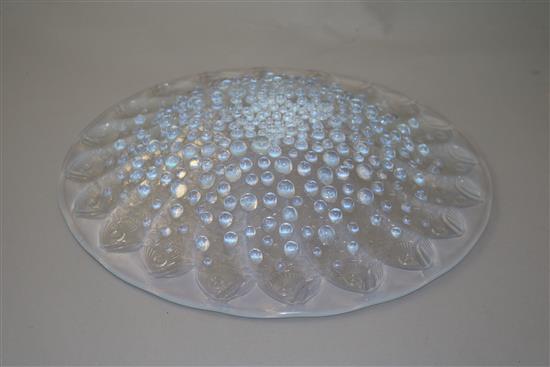 A René Lalique Roscoff pattern opalescent glass dish, 35.5cm